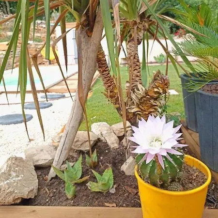Βίλα Maison Au Calme Avec Piscine *